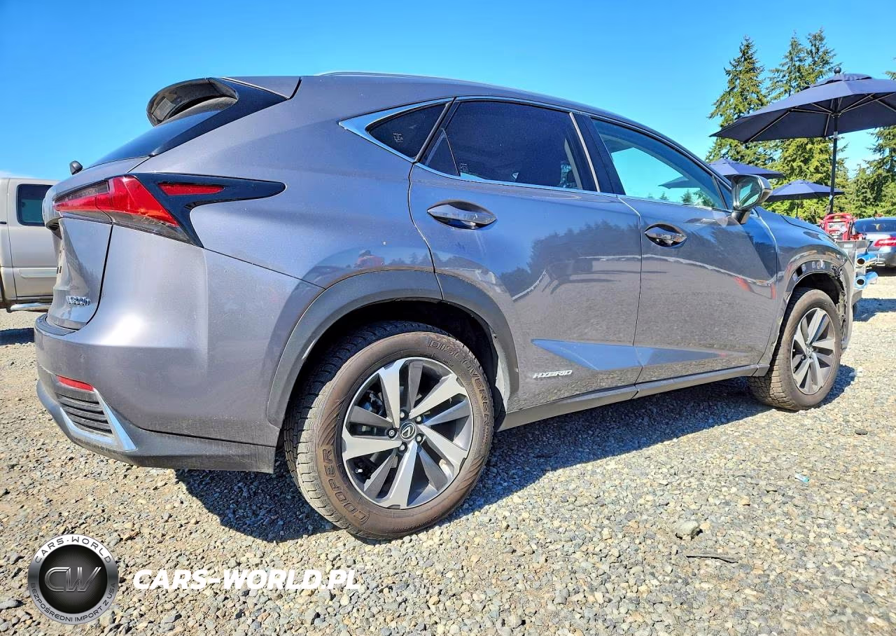 2020 Lexus Nx 300H VIN:JTJGJRDZ2L2128450 - 3