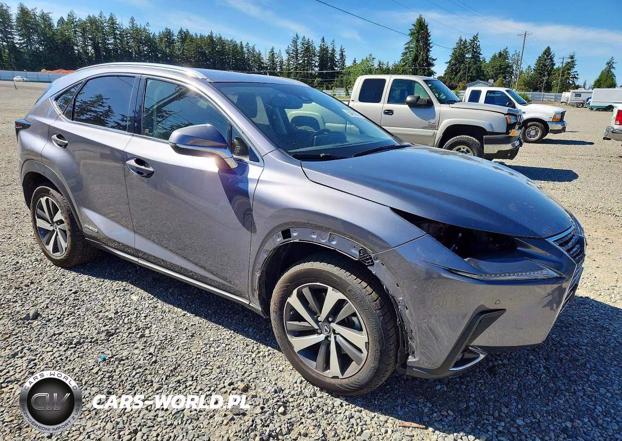2020 Lexus Nx 300H VIN:JTJGJRDZ2L2128450 - 4