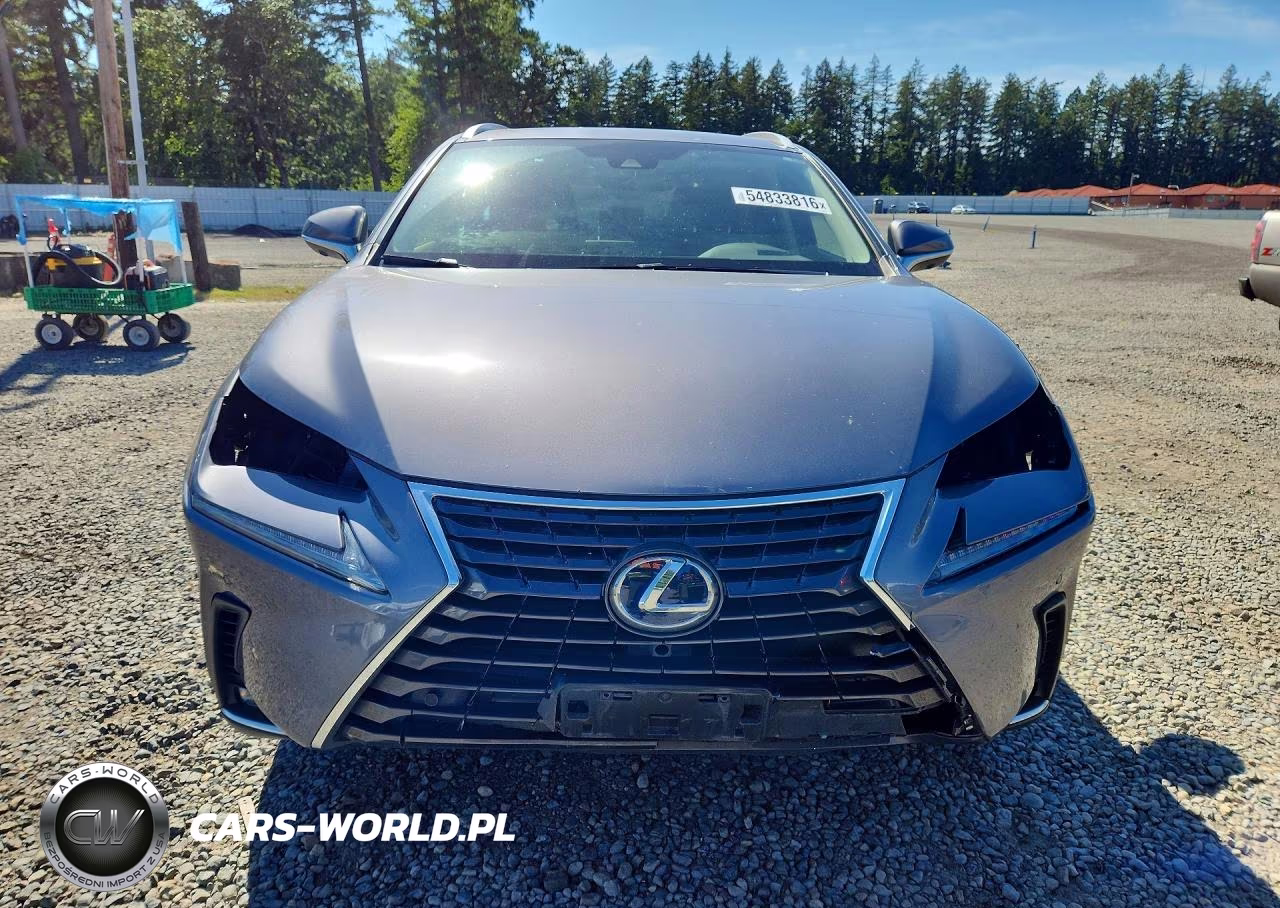 2020 Lexus Nx 300H VIN:JTJGJRDZ2L2128450 - 5