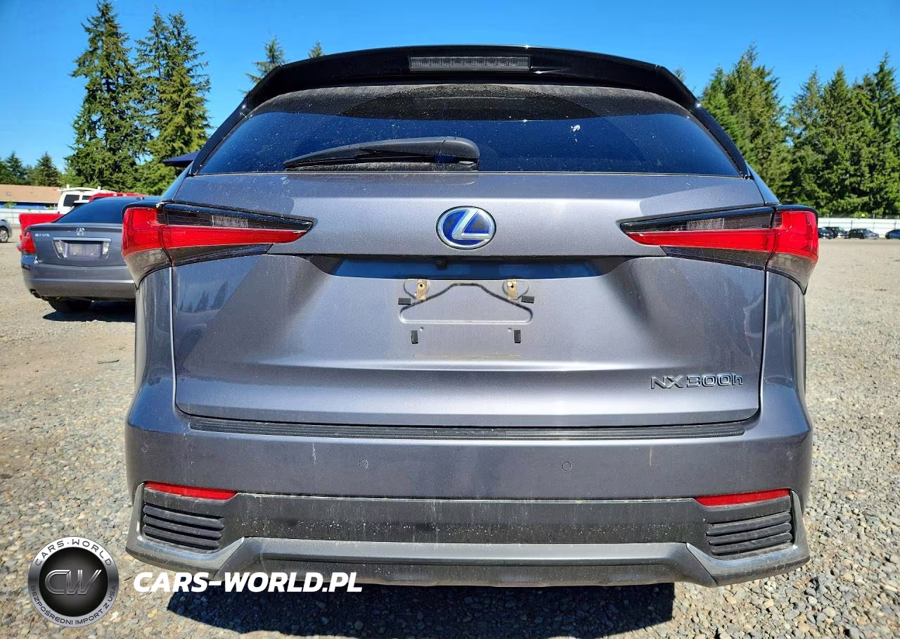 2020 Lexus Nx 300H VIN:JTJGJRDZ2L2128450 - 6