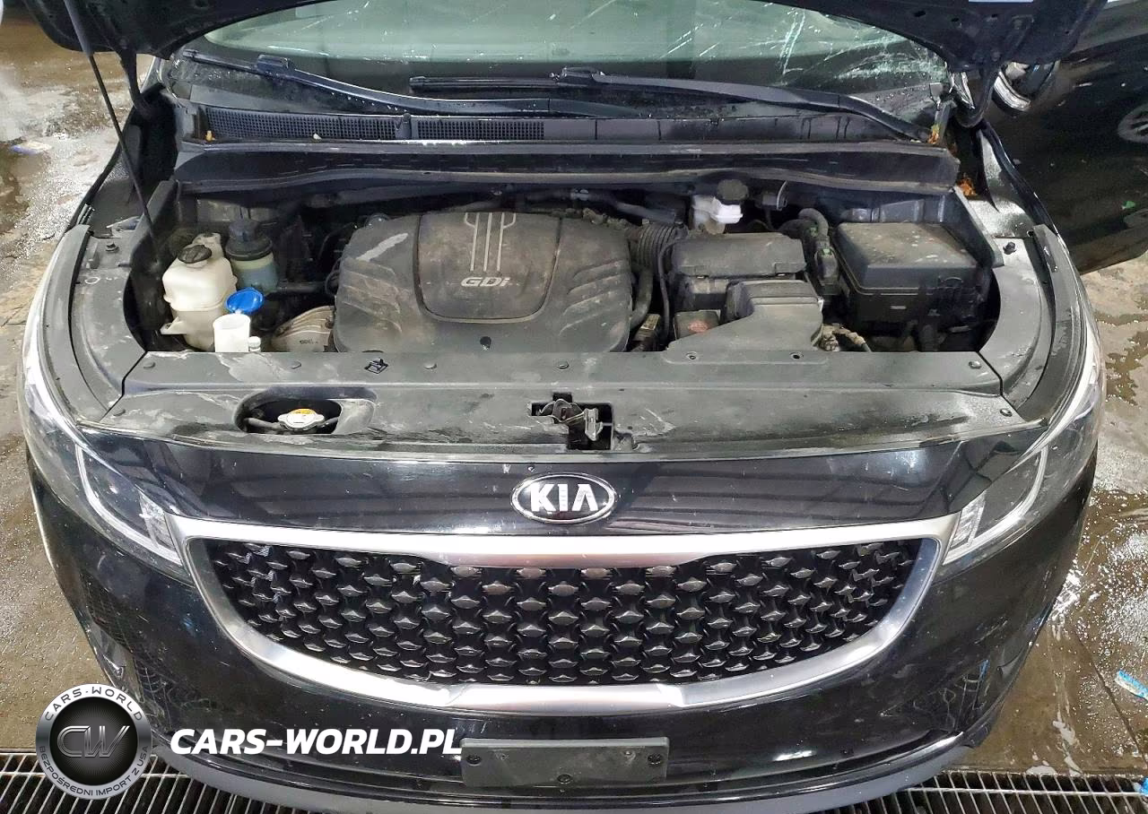 2016 Kia Sedona Lx VIN:KNDMB5C1XG6099141 - 11