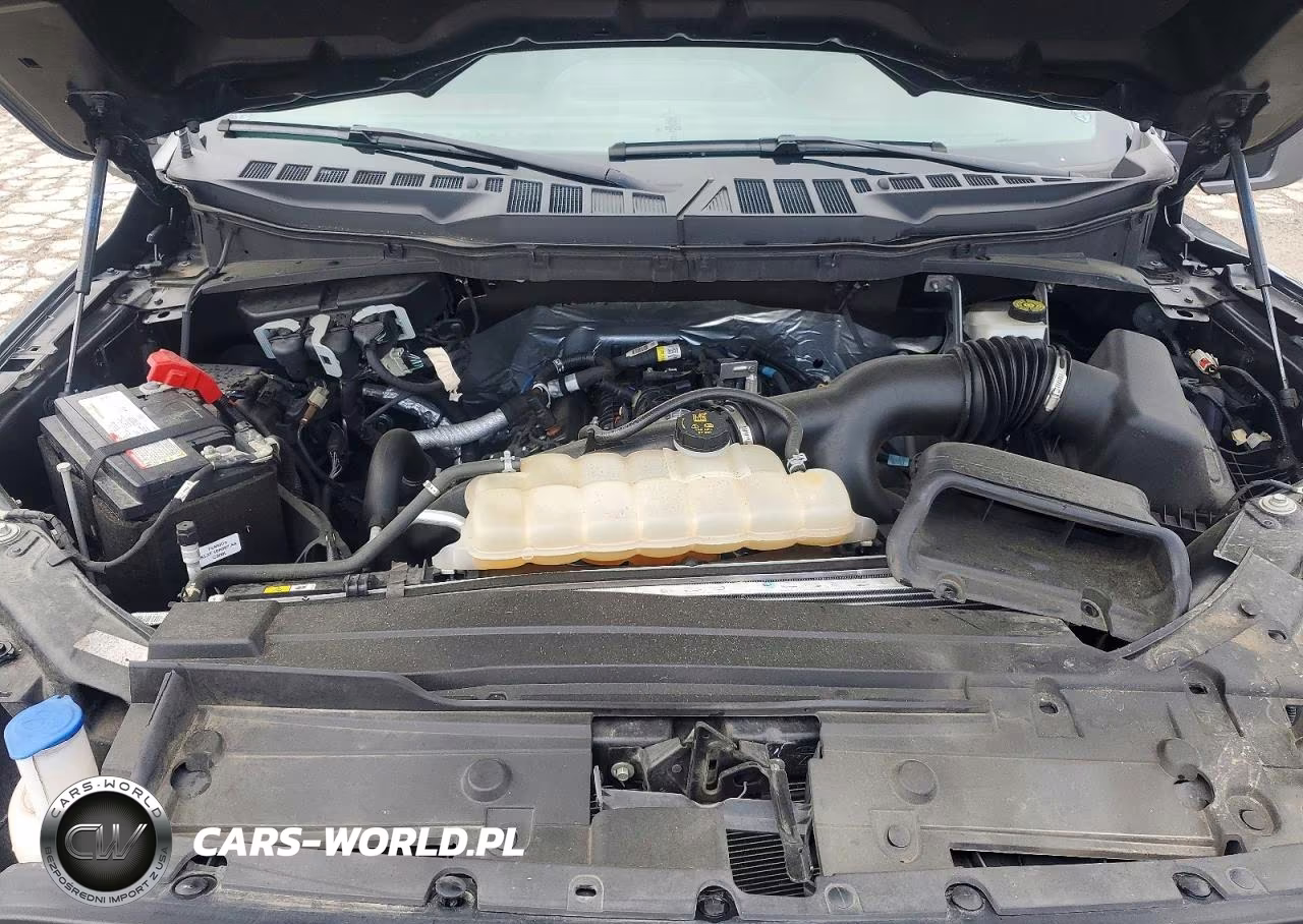 2023 Ford F150 Supercrew VIN:1FTEW1EP0PKD64112 - 11