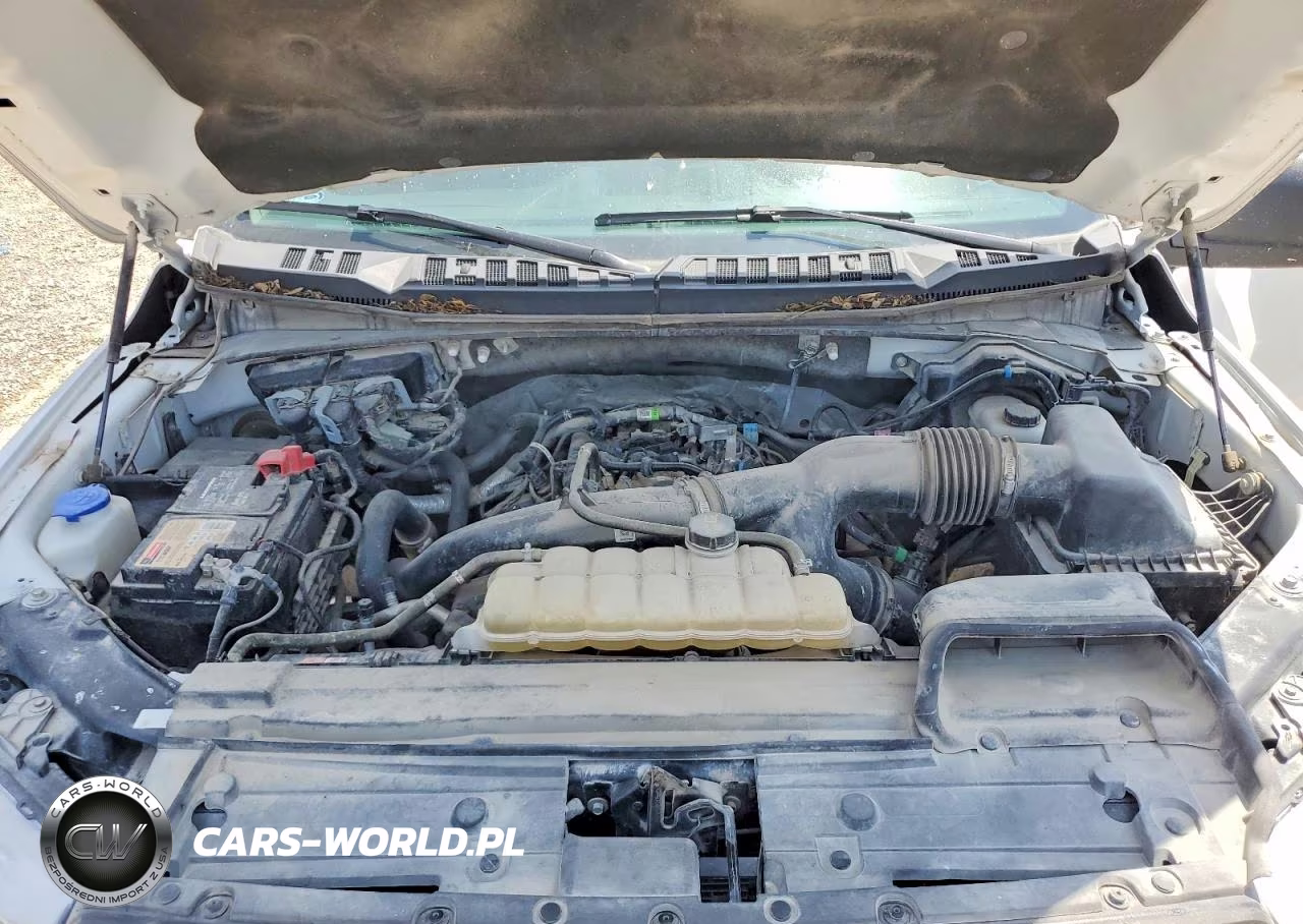 2019 Ford F150 Supercrew VIN:1FTEW1EP3KKF32253 - 11