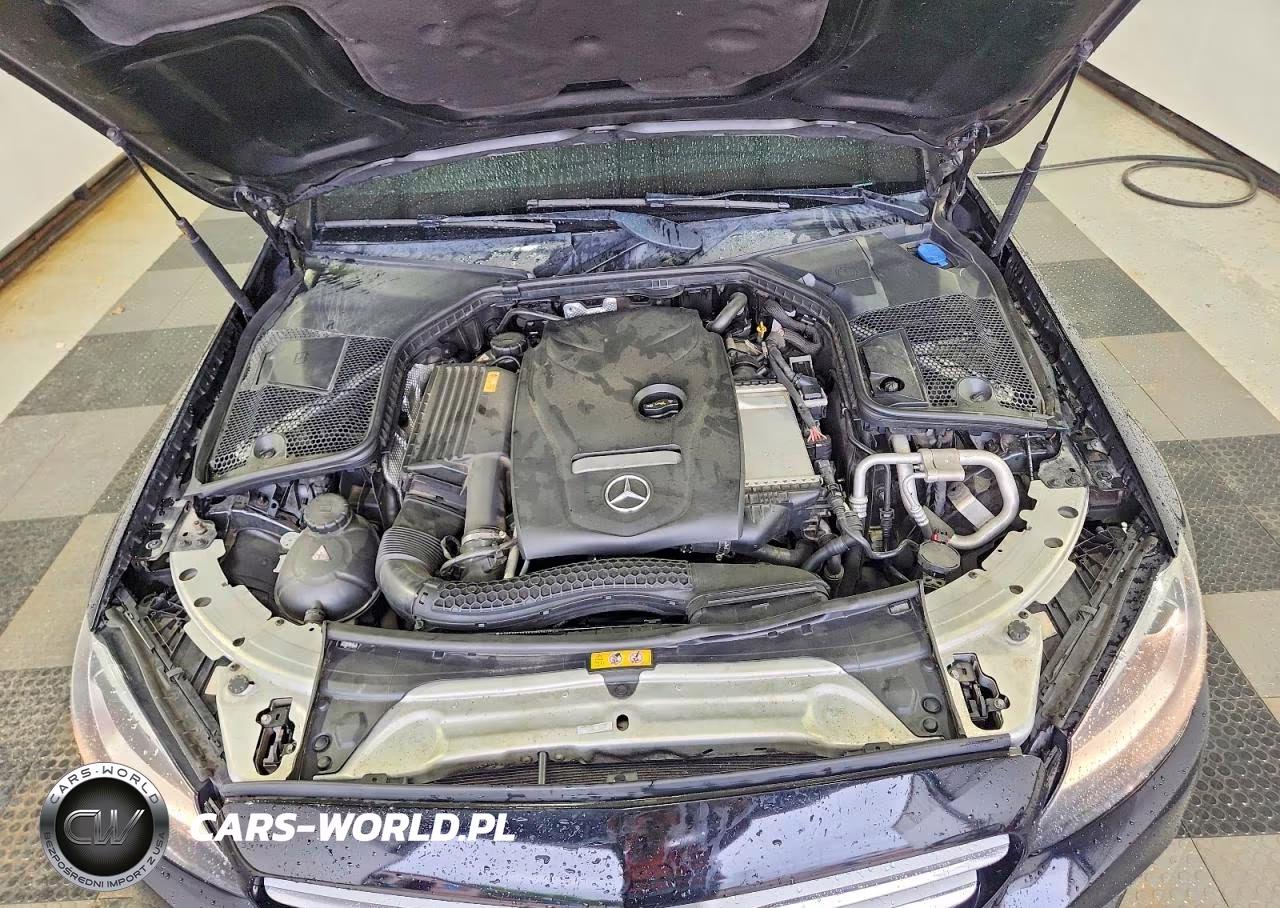 2017 MERCEDES-BENZ C 300 4MATIC VIN:55SWF4KB1HU189364 - 11