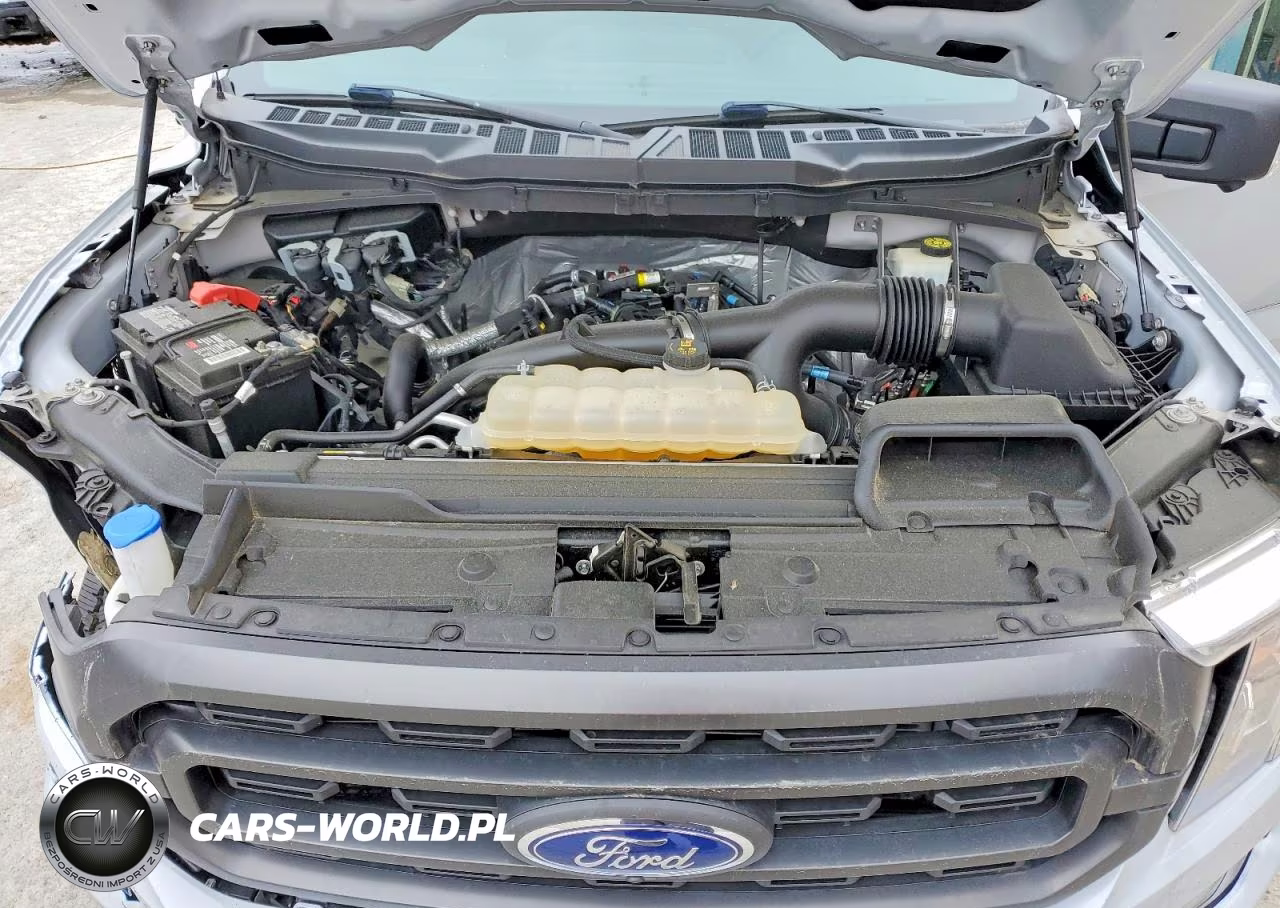 2021 Ford F150 Supercrew VIN:1FTEW1EP7MKD14223 - 11
