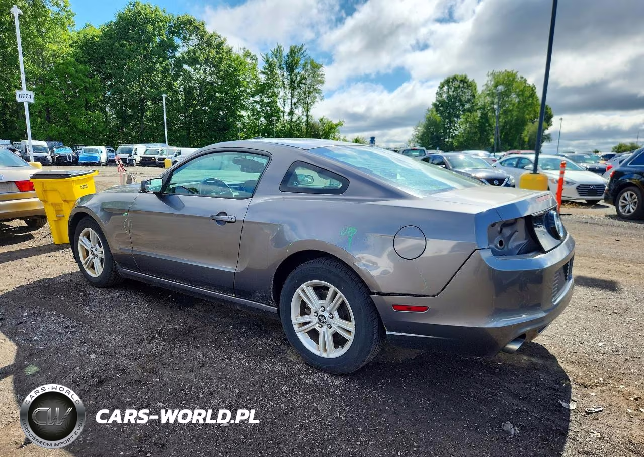 2014 Ford Mustang VIN:1ZVBP8AMXE5297791 - 2