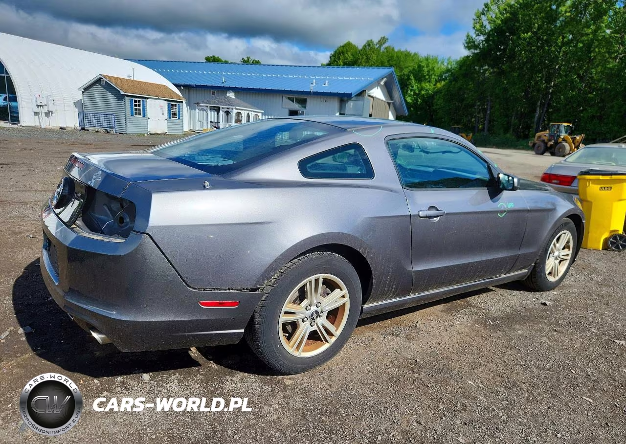 2014 Ford Mustang VIN:1ZVBP8AMXE5297791 - 3