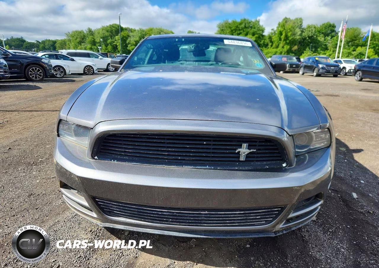 2014 Ford Mustang VIN:1ZVBP8AMXE5297791 - 5