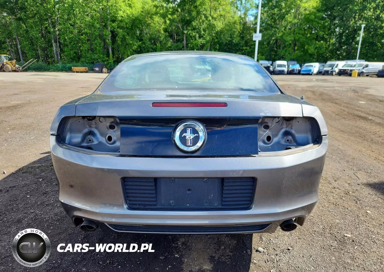 2014 Ford Mustang VIN:1ZVBP8AMXE5297791 - 6