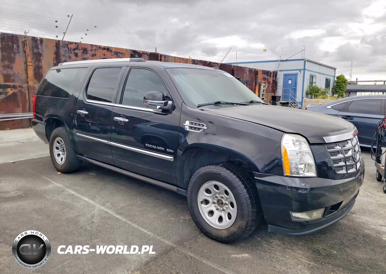 2011 Cadillac Escalade Esv Premium VIN:1GYS4JEF3BR244394 - 4