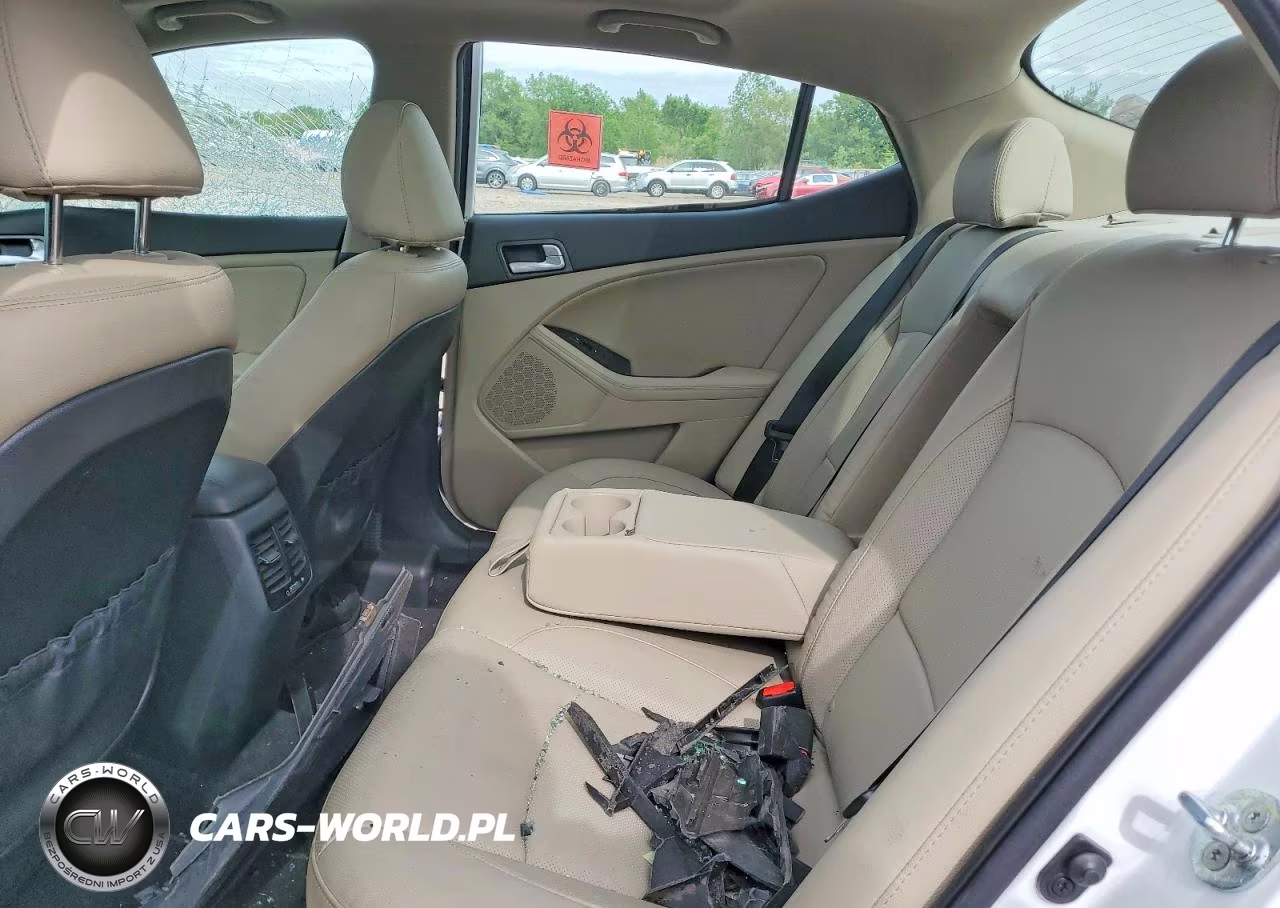 2015 Kia Optima Ex VIN:5XXGN4A78FG495090 - 10