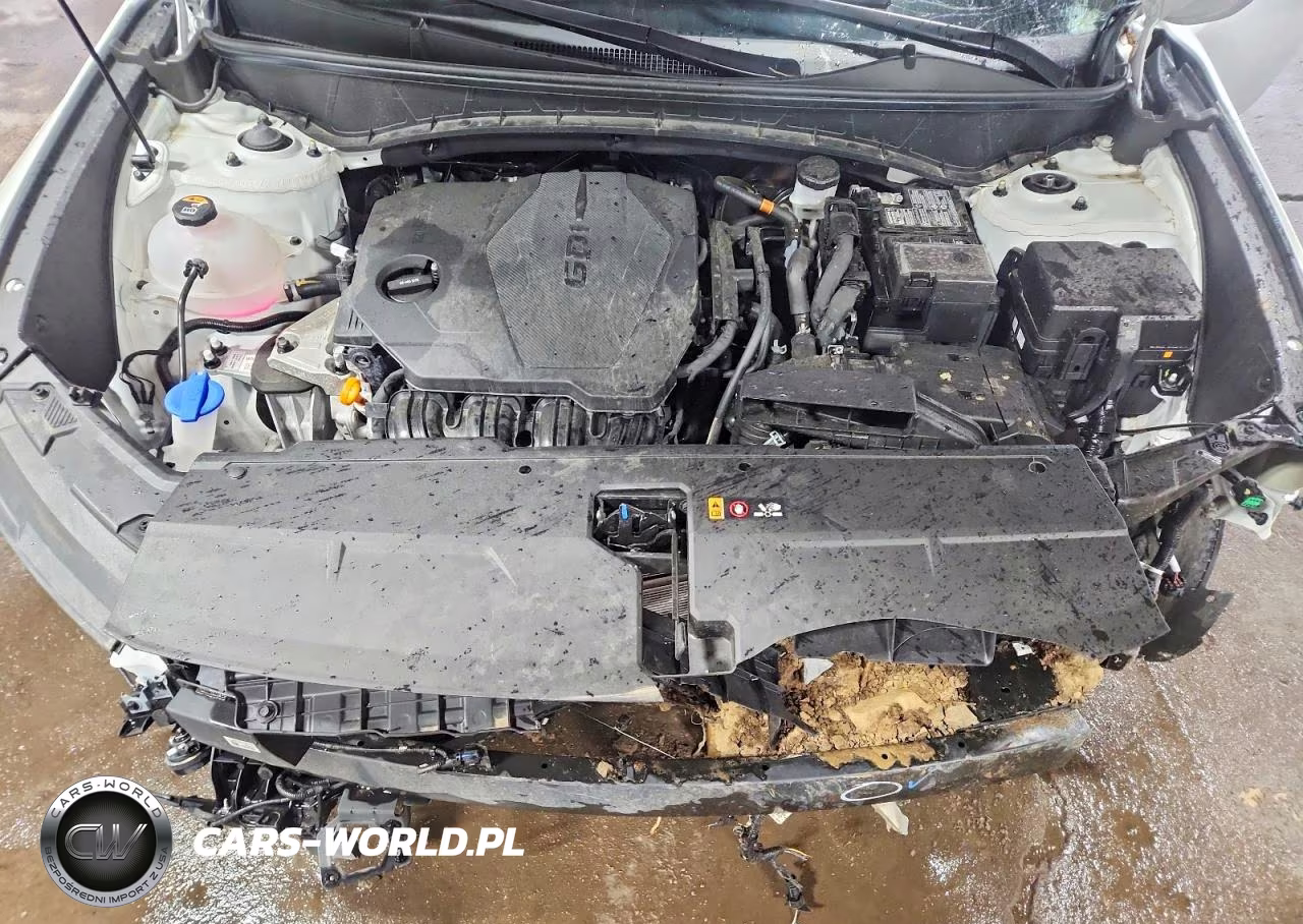2026 Hyundai Tucson Sel VIN:5NMJBCDEXTH637567 - 12