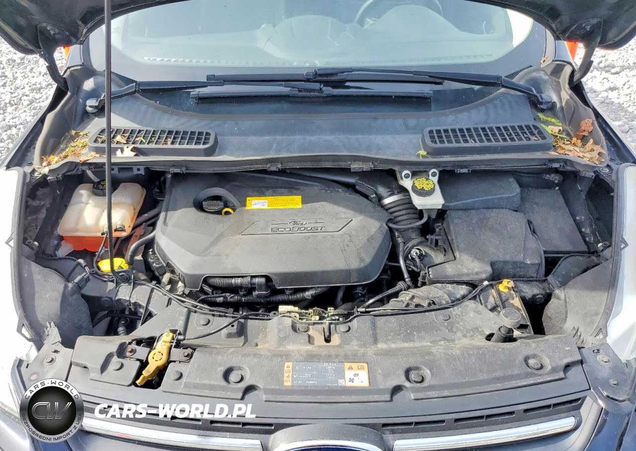 2015 Ford Escape Se VIN:1FMCU0GX3FUC33632 - 12