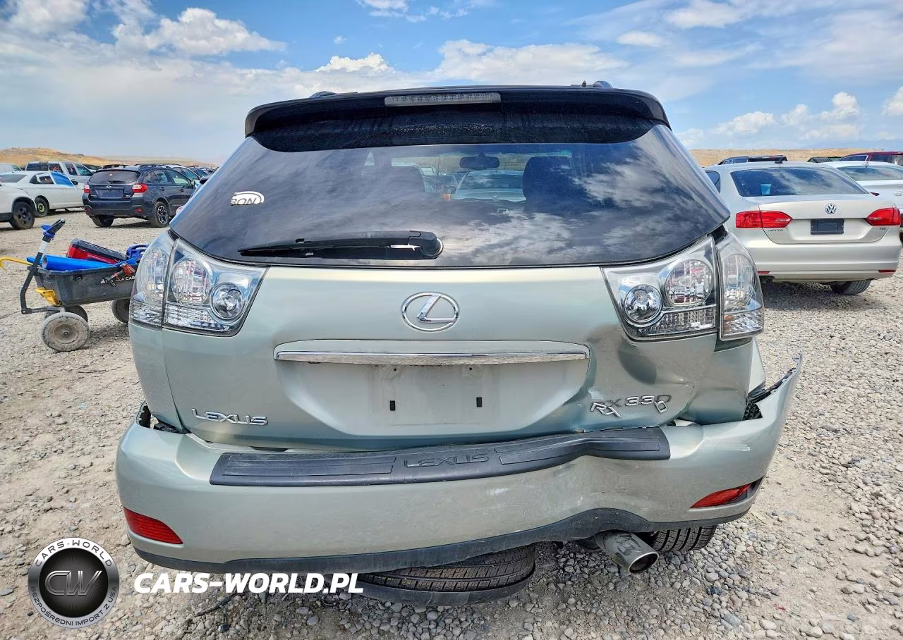 2005 Lexus Rx 330 VIN:JTJGA31U450045641 - 6