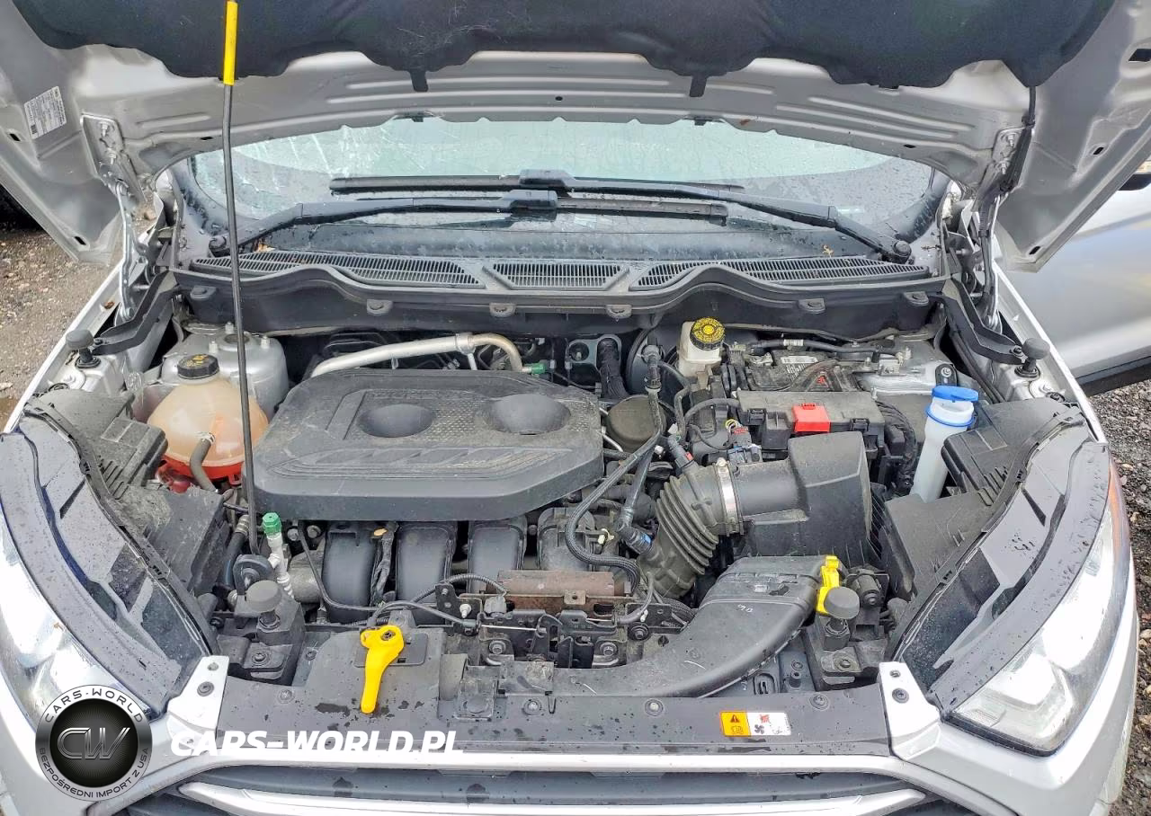 2021 Ford Ecosport Se VIN:MAJ6S3GL0MC436881 - 11