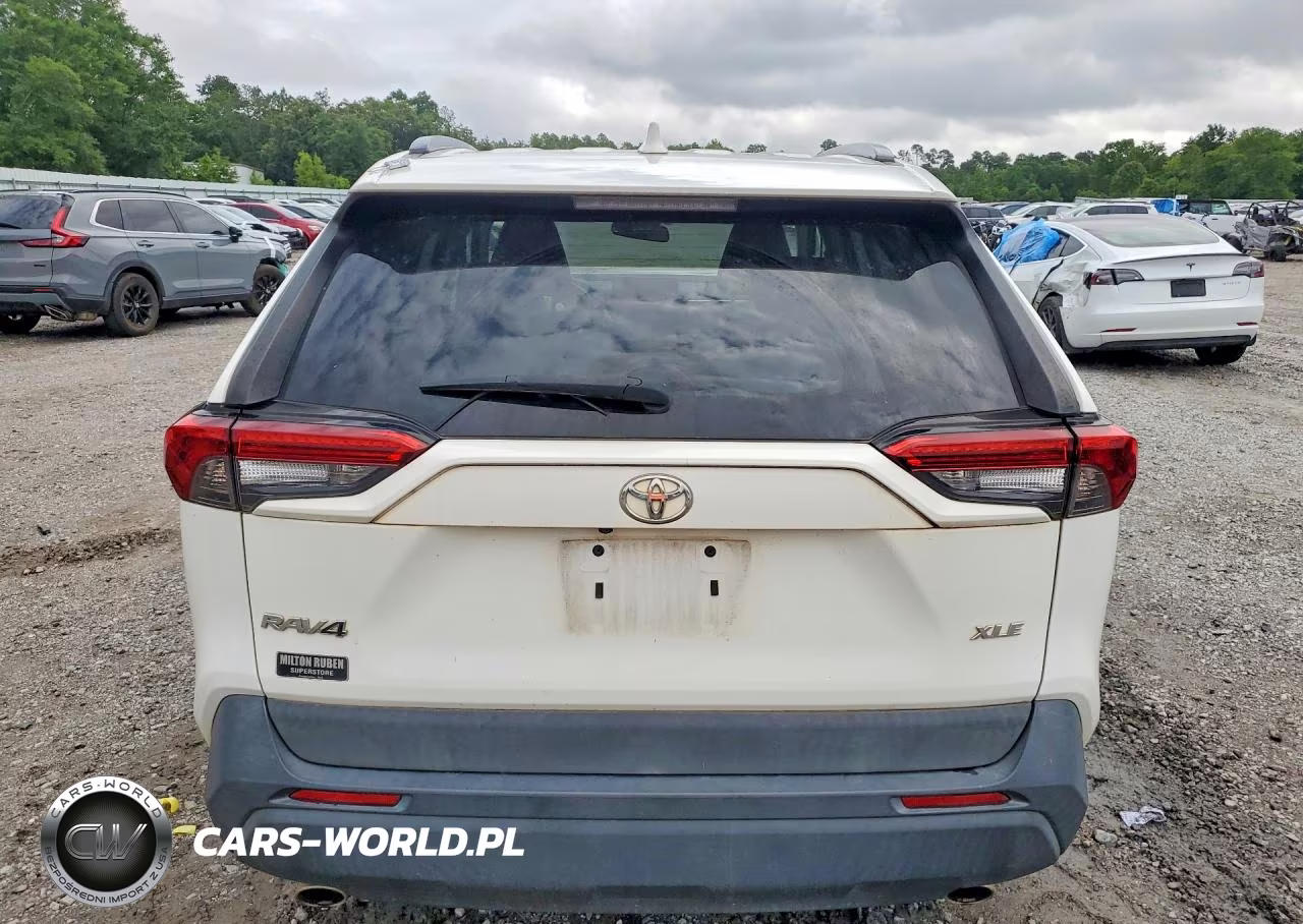 2019 Toyota Rav4 Xle Premium VIN:2T3C1RFV9KC031765 - 6
