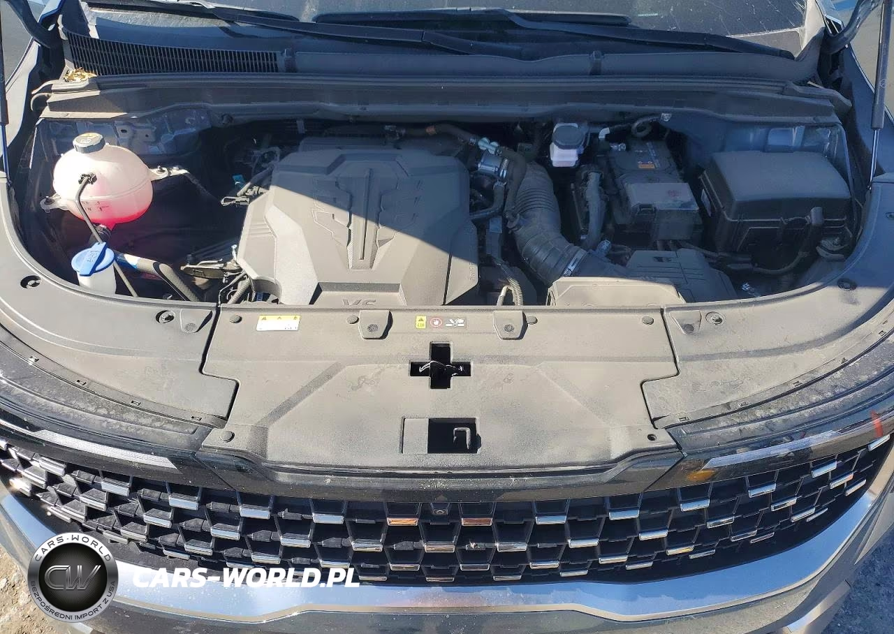 2025 Kia Carnival Sx VIN:KNDNE5K39S6504686 - 12