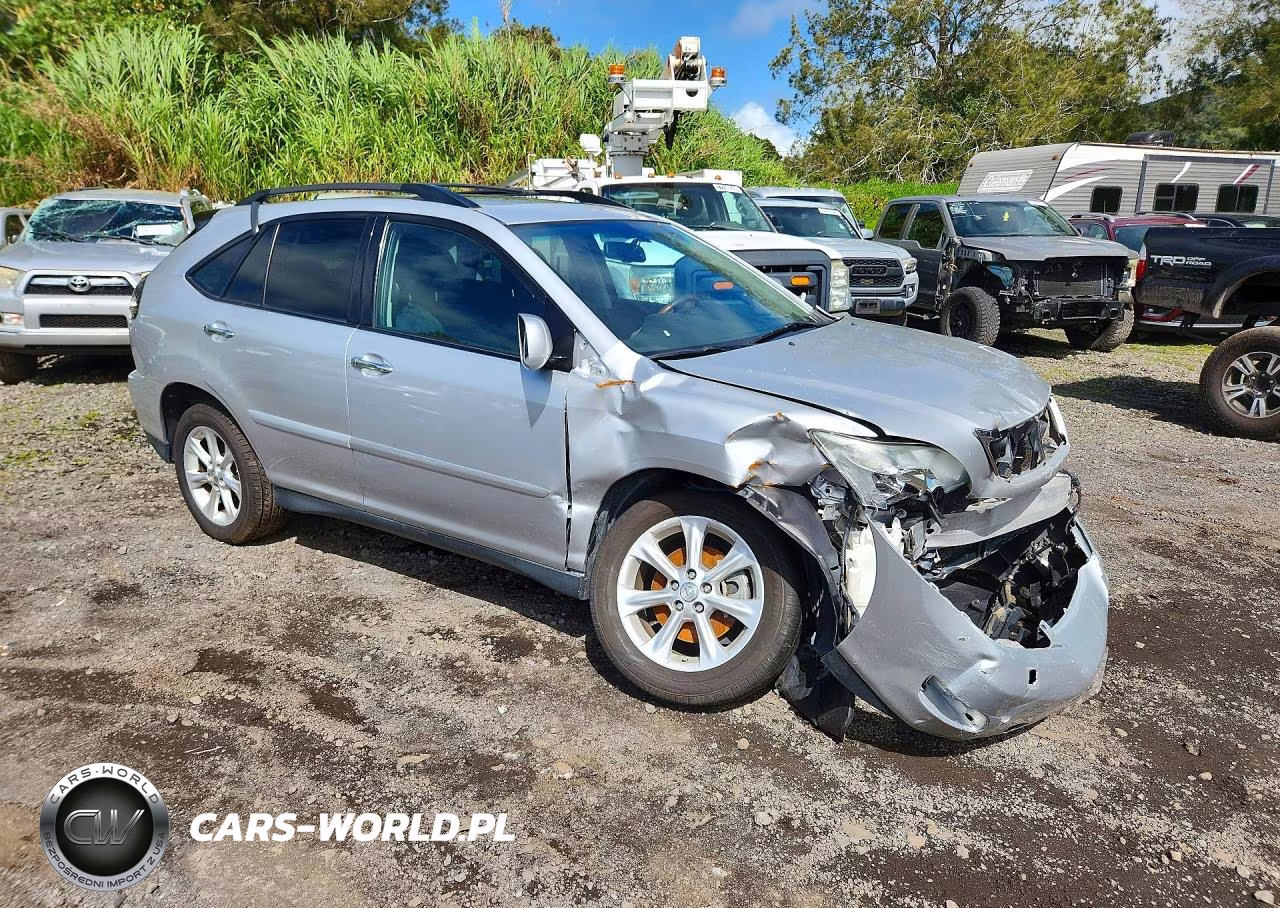 2009 Lexus Rx 350 VIN:2T2GK31U89C077046 - 4