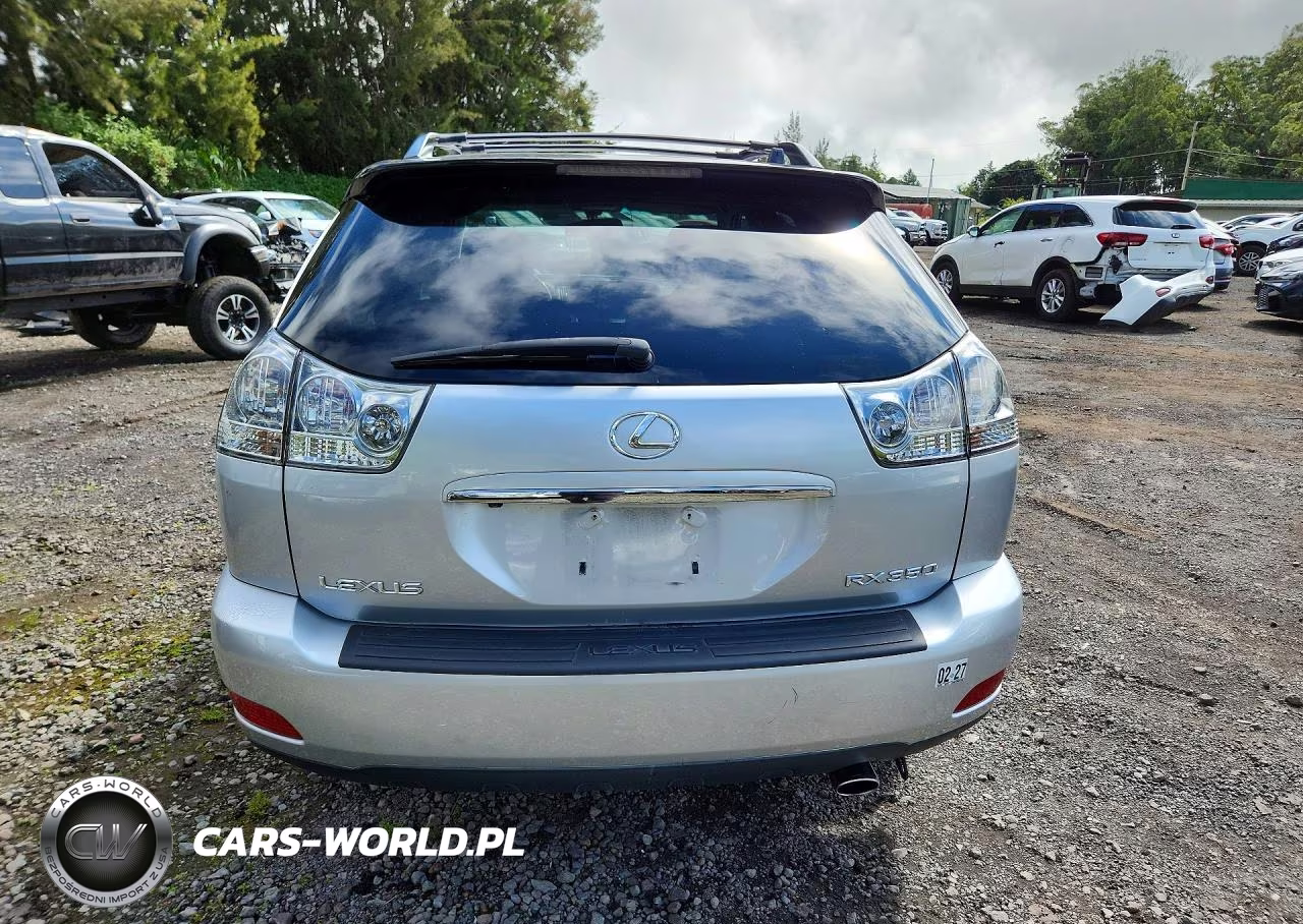 2009 Lexus Rx 350 VIN:2T2GK31U89C077046 - 6