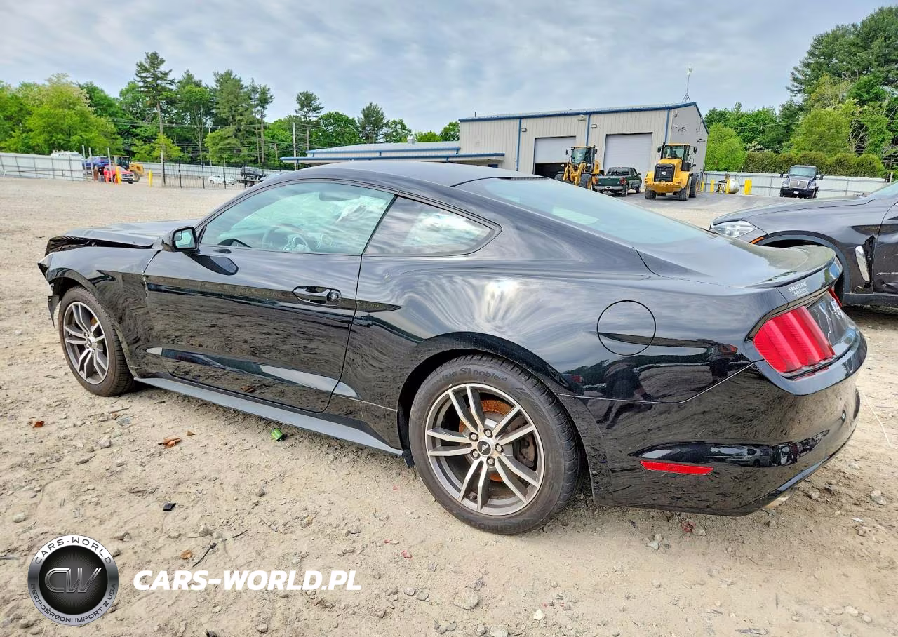 2017 Ford Mustang VIN:1FA6P8TH1H5305937 - 2