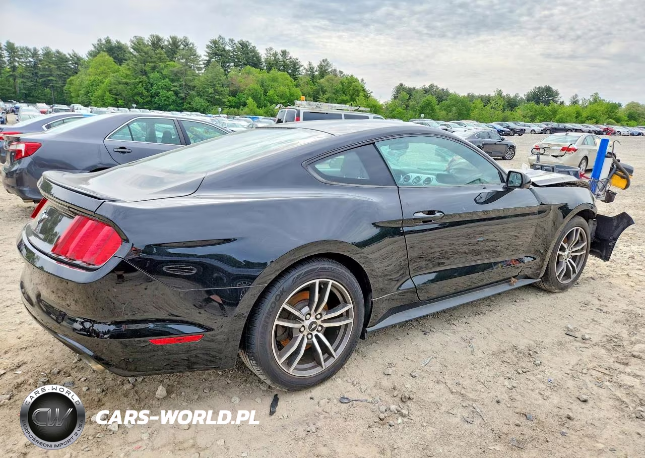 2017 Ford Mustang VIN:1FA6P8TH1H5305937 - 3