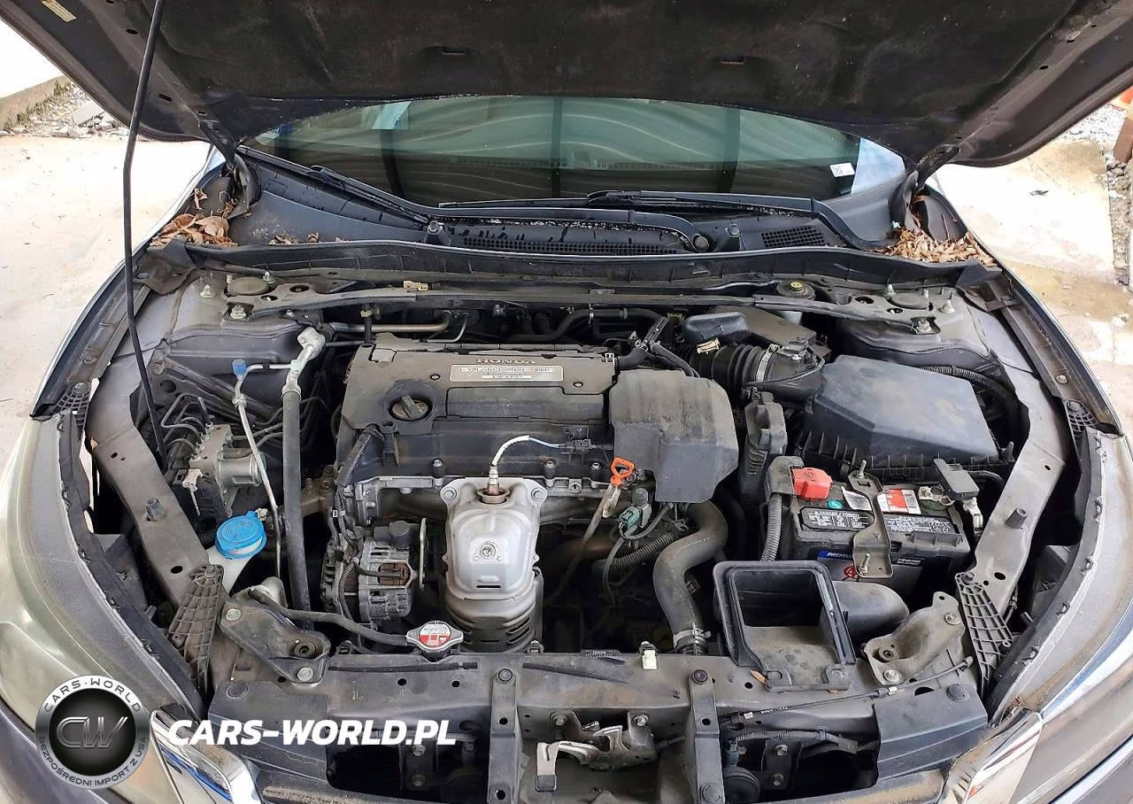 2013 Honda Accord Ex VIN:1HGCR2F79DA024575 - 11