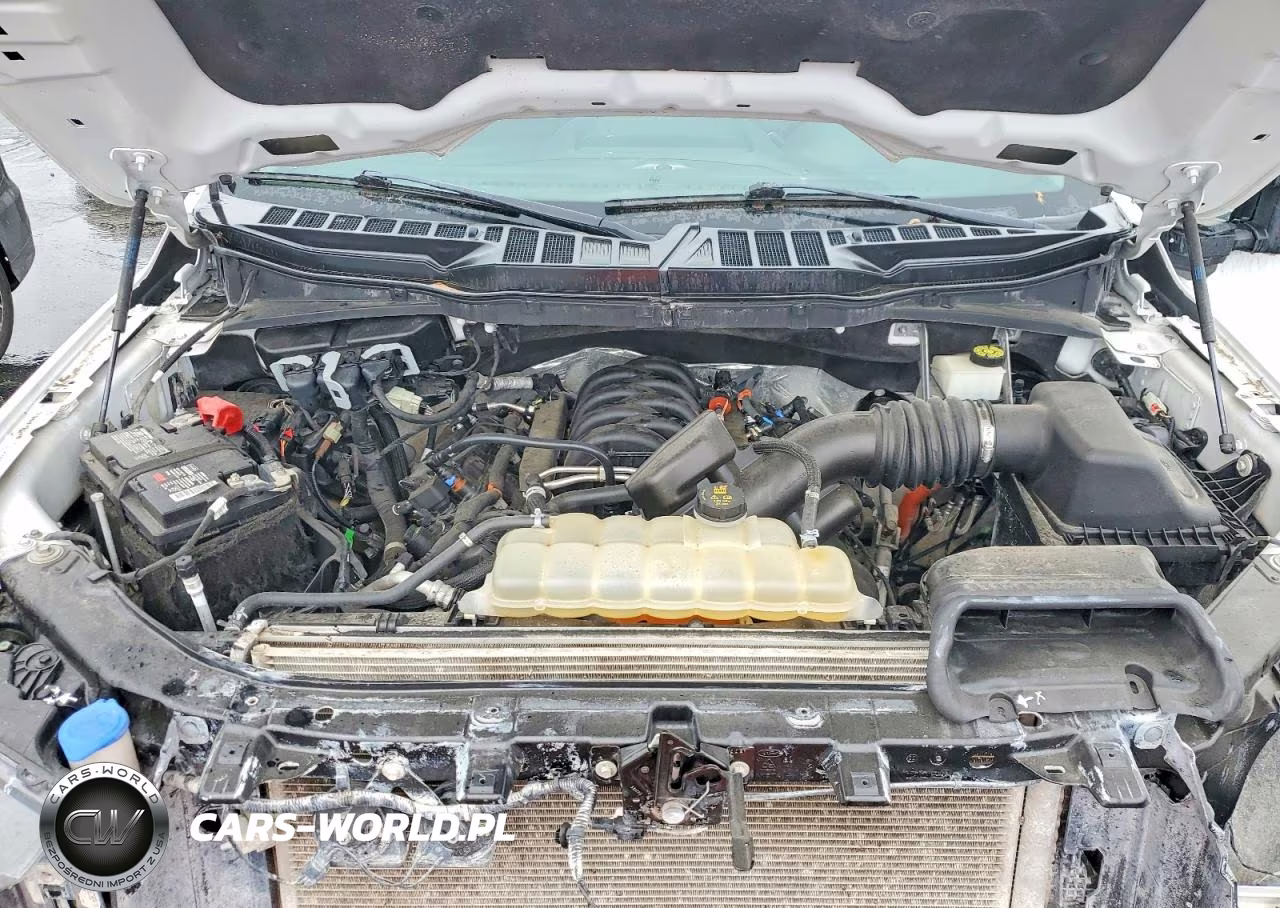 2023 Ford F150 Supercrew VIN:1FTFW1E59PKD11962 - 11