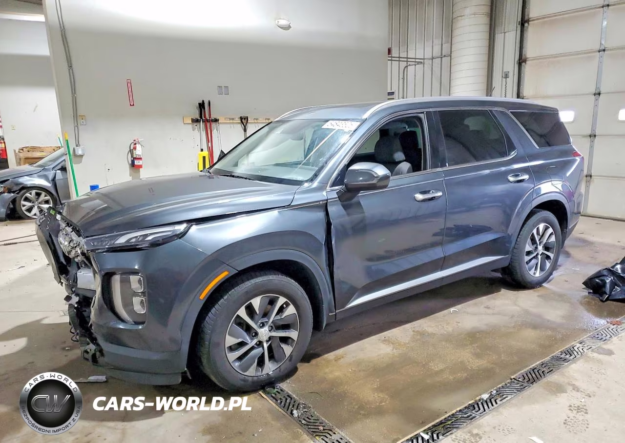 2020 Hyundai Palisade Sel VIN:KM8R2DHE9LU150304 - 1