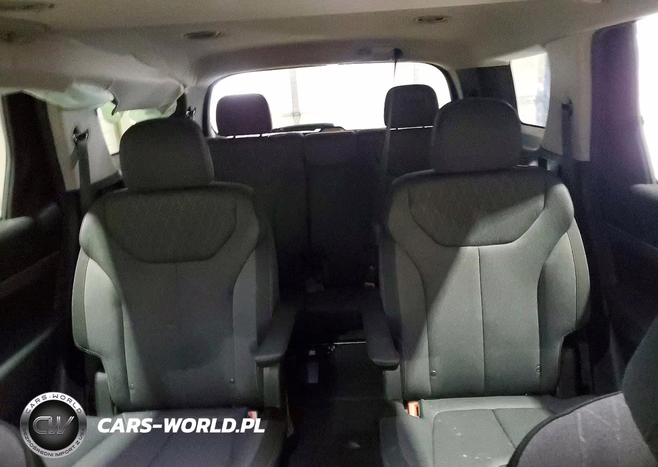 2020 Hyundai Palisade Sel VIN:KM8R2DHE9LU150304 - 10