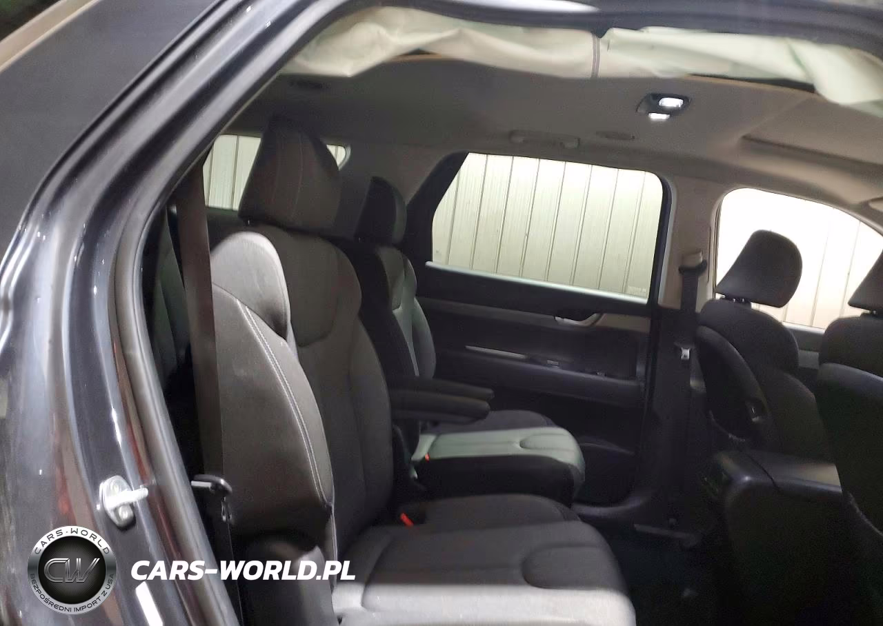 2020 Hyundai Palisade Sel VIN:KM8R2DHE9LU150304 - 11