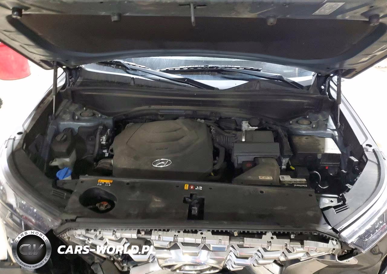 2020 Hyundai Palisade Sel VIN:KM8R2DHE9LU150304 - 12