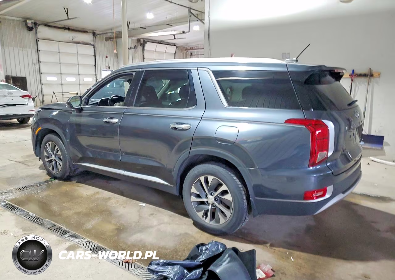 2020 Hyundai Palisade Sel VIN:KM8R2DHE9LU150304 - 2
