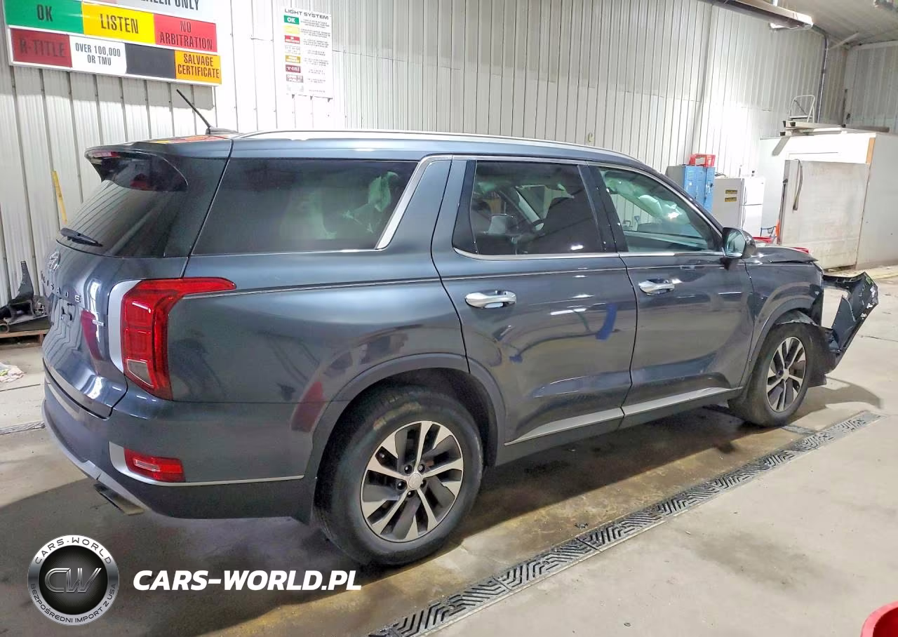 2020 Hyundai Palisade Sel VIN:KM8R2DHE9LU150304 - 3