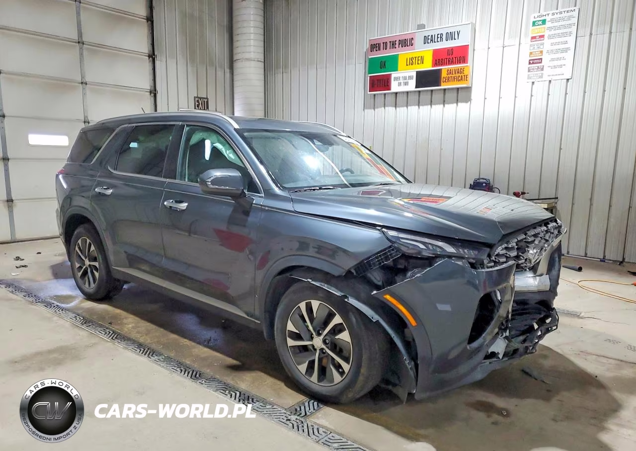 2020 Hyundai Palisade Sel VIN:KM8R2DHE9LU150304 - 4