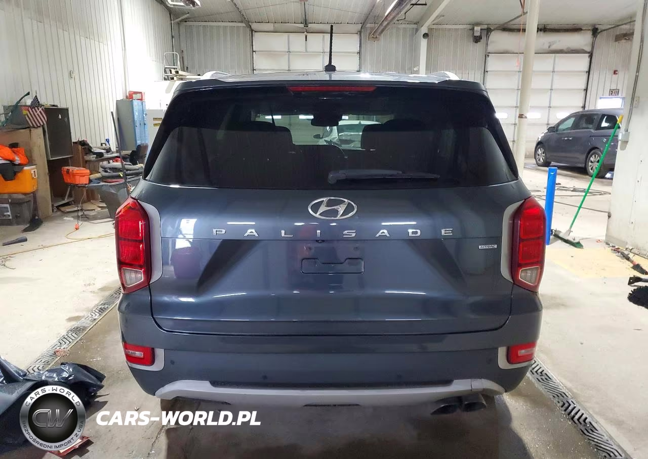 2020 Hyundai Palisade Sel VIN:KM8R2DHE9LU150304 - 6