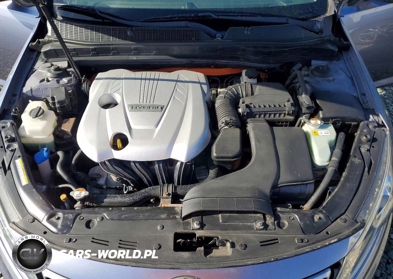 2011 Kia Optima Hybrid VIN:KNAGM4ADXB5006516 - 11