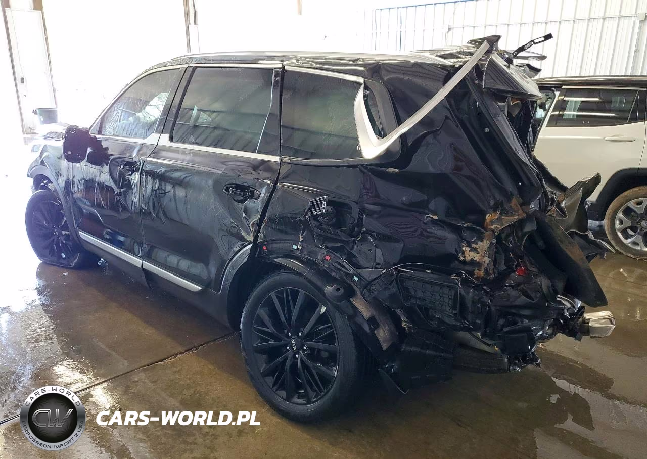 2020 Kia Telluride Sx VIN:5XYP54HC7LG025112 - 2
