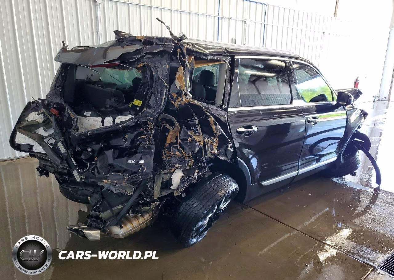 2020 Kia Telluride Sx VIN:5XYP54HC7LG025112 - 3