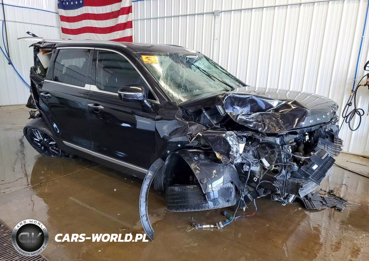 2020 Kia Telluride Sx VIN:5XYP54HC7LG025112 - 4