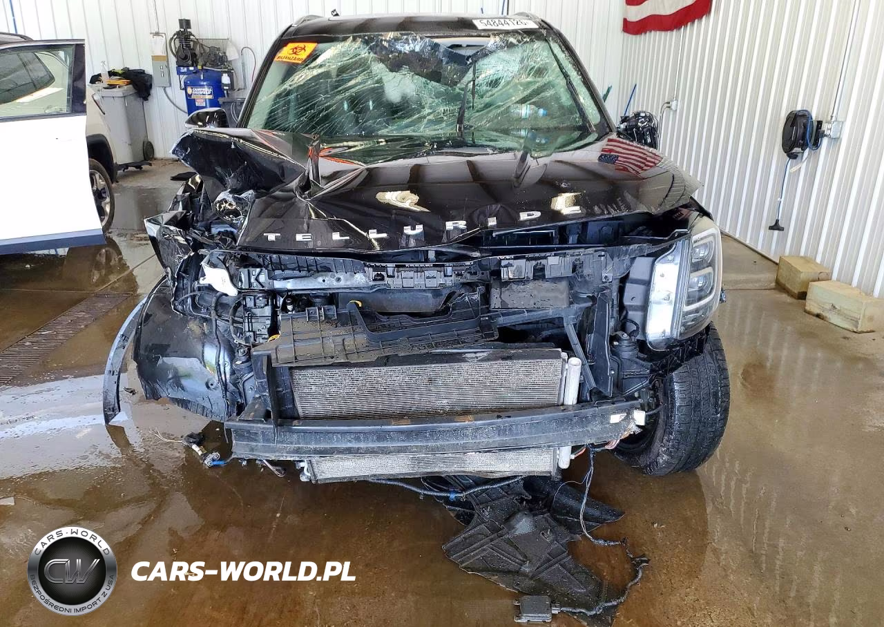 2020 Kia Telluride Sx VIN:5XYP54HC7LG025112 - 5
