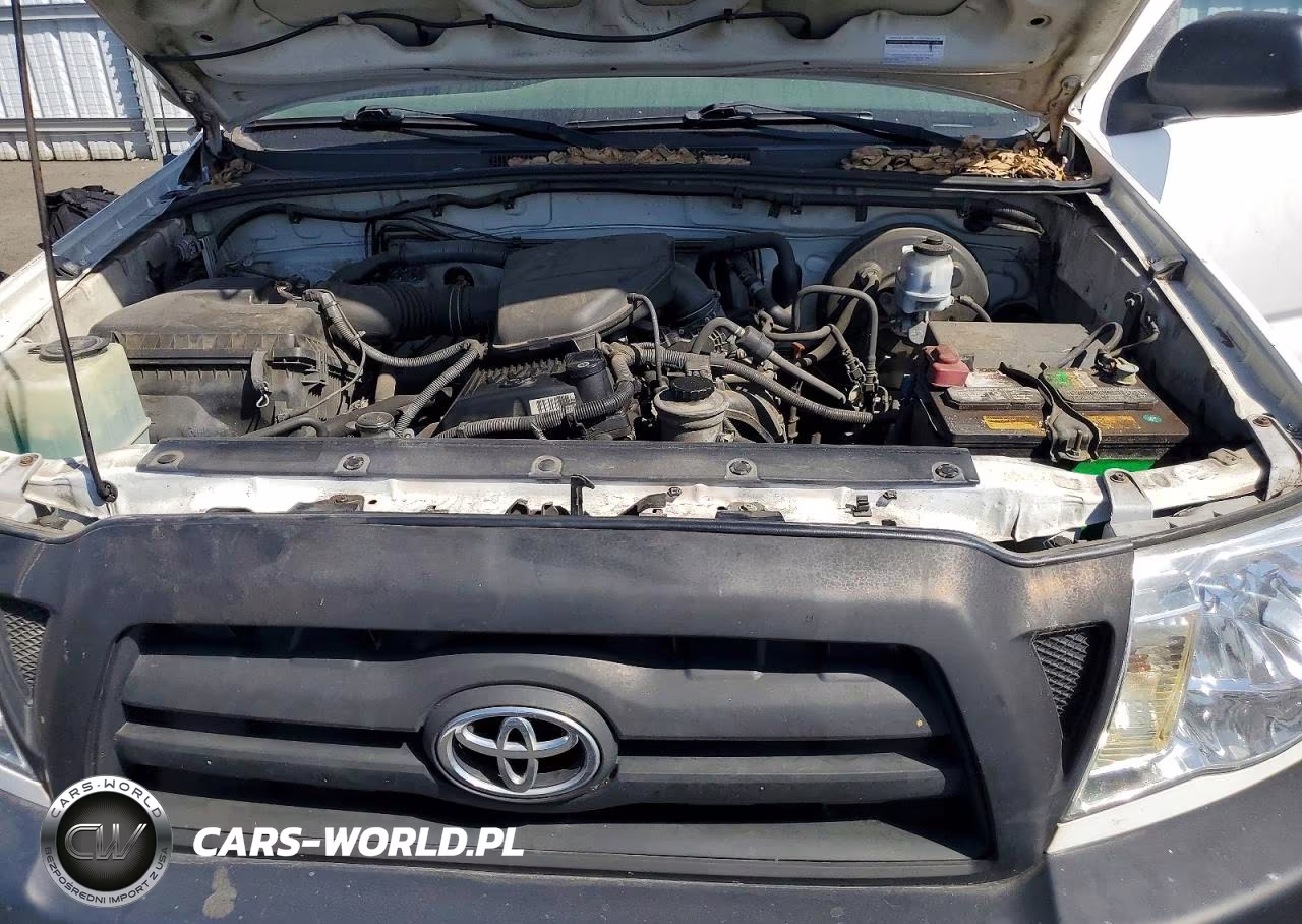 2009 Toyota Tacoma Base VIN:5TENX22N49Z638934 - 11