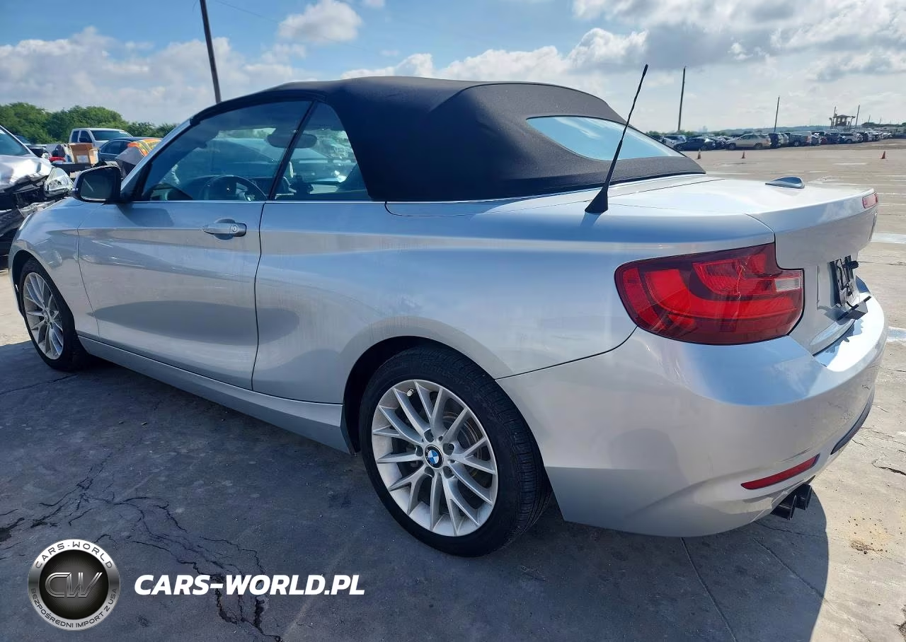 2016 BMW 228 I Sulev VIN:WBA1K9C52GV321946 - 2
