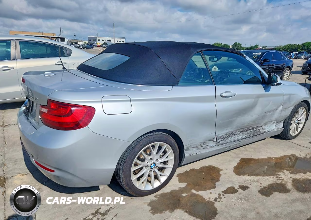 2016 BMW 228 I Sulev VIN:WBA1K9C52GV321946 - 3
