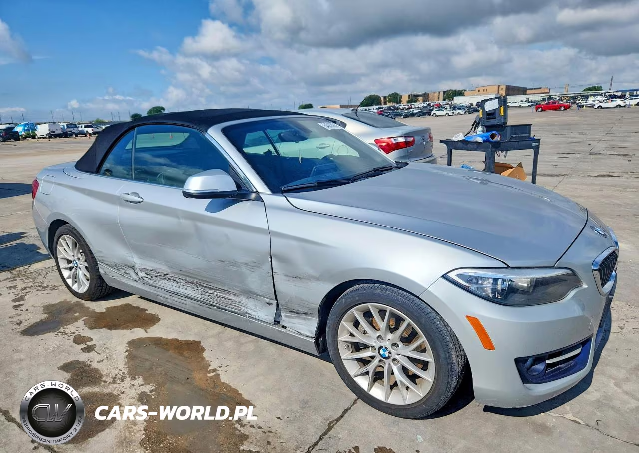 2016 BMW 228 I Sulev VIN:WBA1K9C52GV321946 - 4