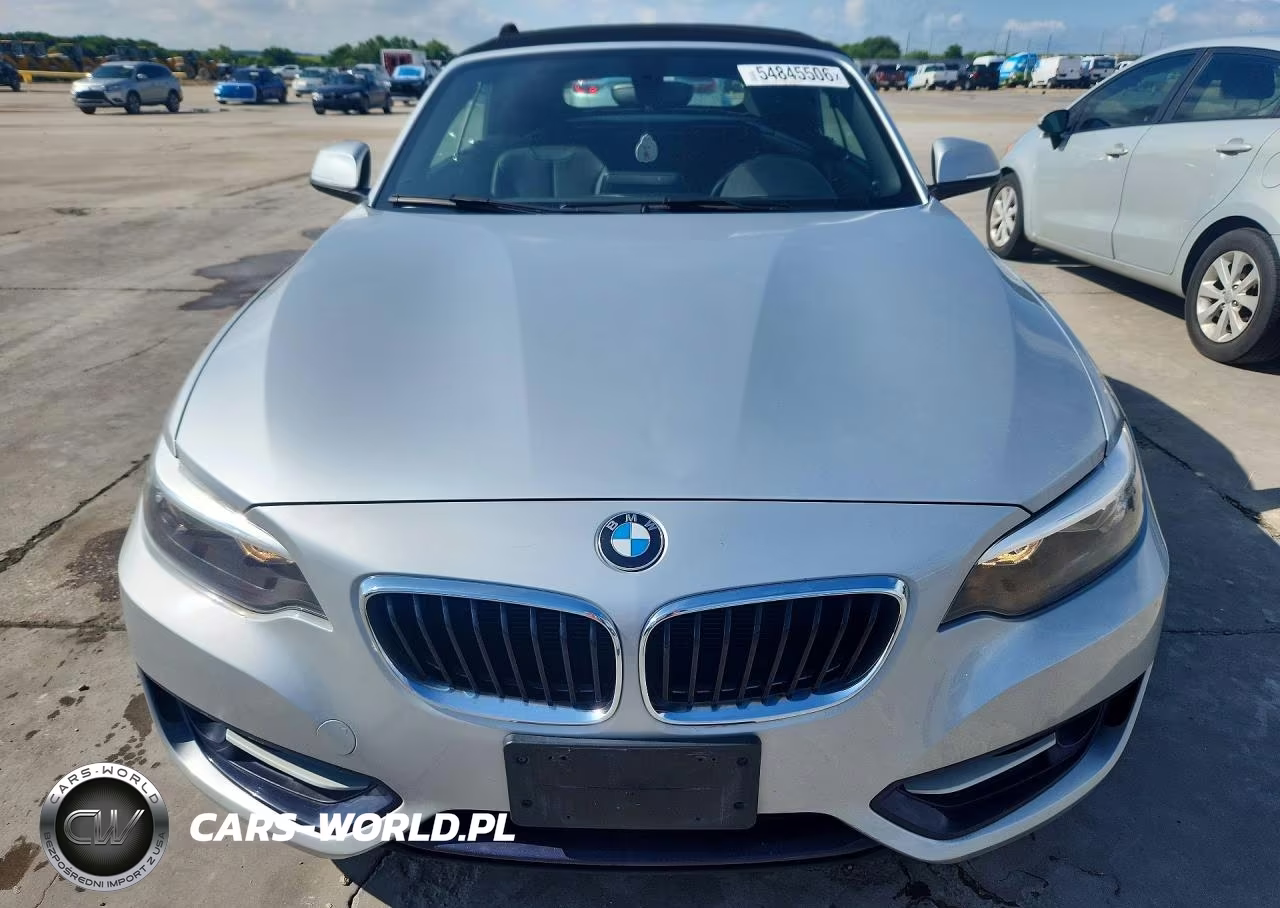 2016 BMW 228 I Sulev VIN:WBA1K9C52GV321946 - 5