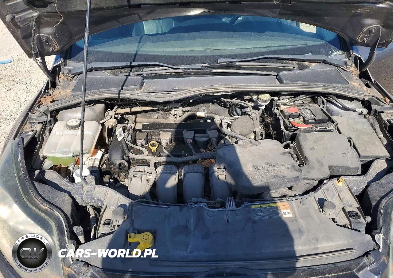 2013 Ford Focus Titanium VIN:1FADP3N28DL158315 - 11