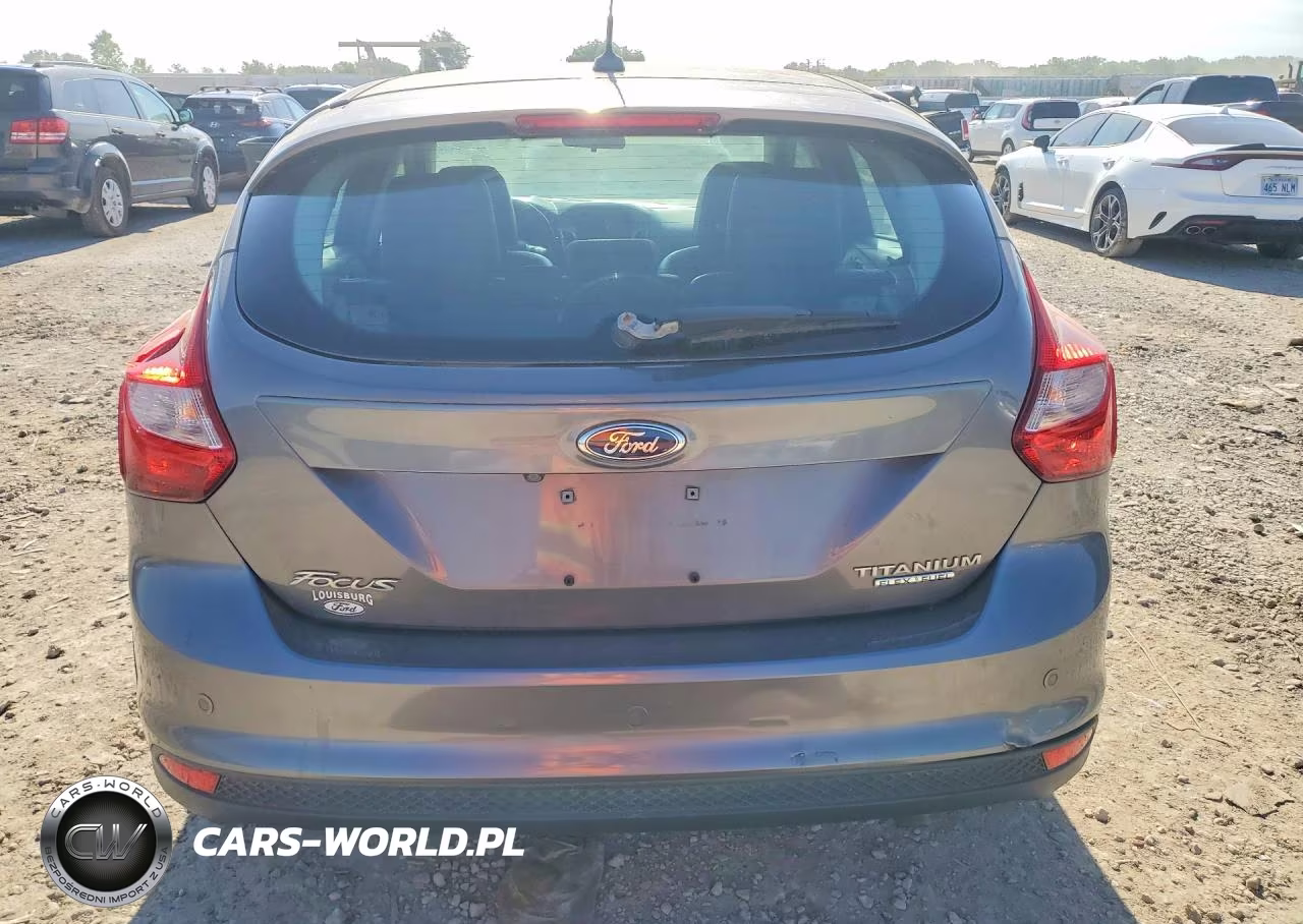 2013 Ford Focus Titanium VIN:1FADP3N28DL158315 - 6