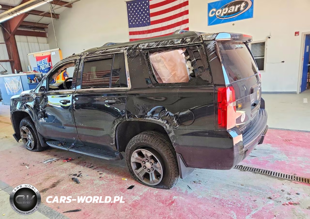 2019 Chevrolet Tahoe K1500 Ls VIN:1GNSKAKCXKR313935 - 2