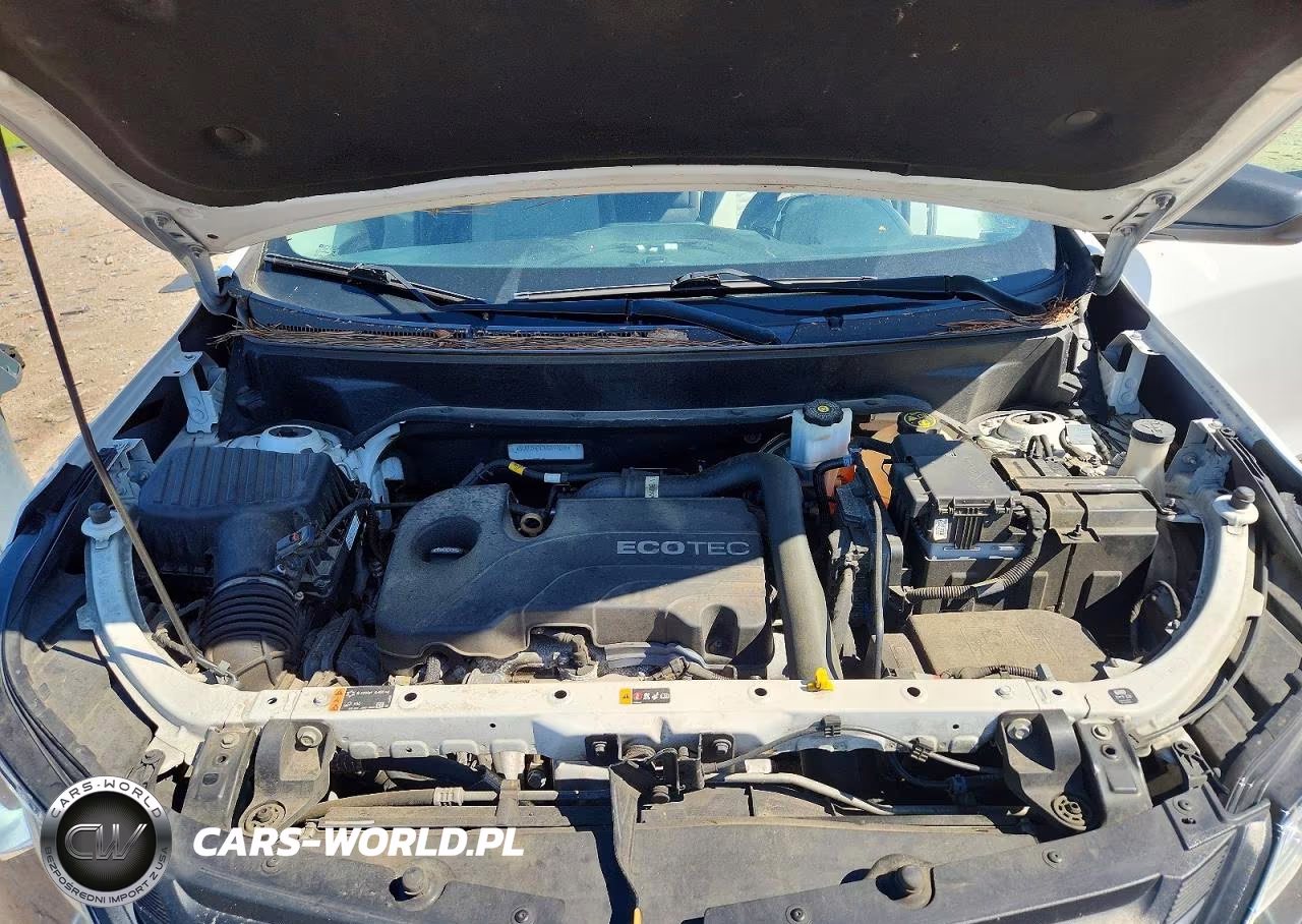 2019 Chevrolet Equinox Ls VIN:3GNAXHEV1KS599805 - 12