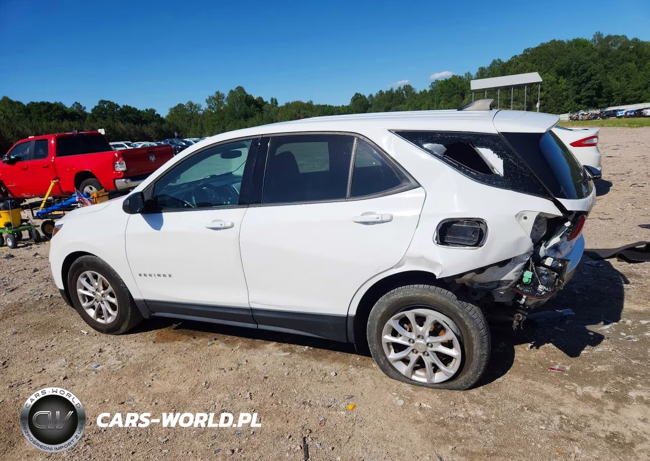 2019 Chevrolet Equinox Ls VIN:3GNAXHEV1KS599805 - 2